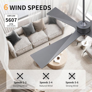 SkyBlade | 54" ABS Waterproof Ceiling Fan