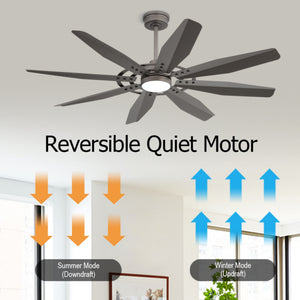 Tectra | 60’’ Aluminum Blades Ceiling Fan with Light