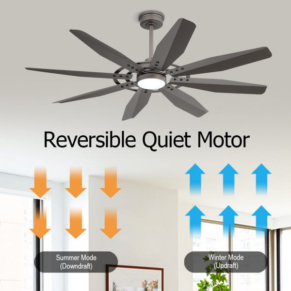 Tectra | 60’’ Aluminum Blades Ceiling Fan with Light