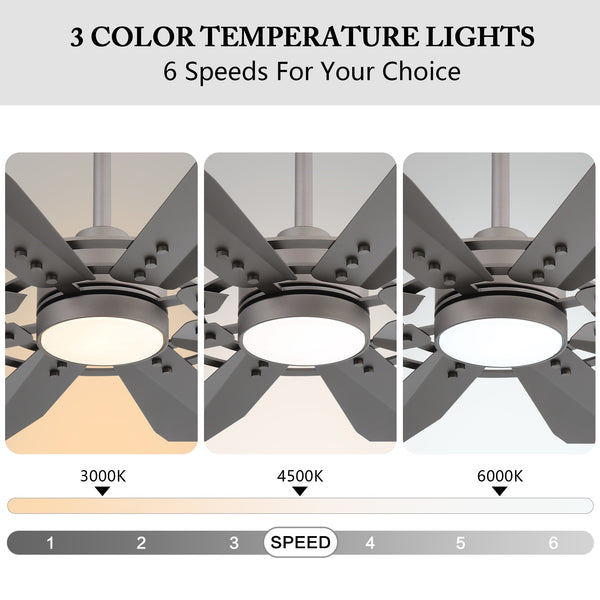 Tectra | 60’’ Aluminum Blades Ceiling Fan with Light