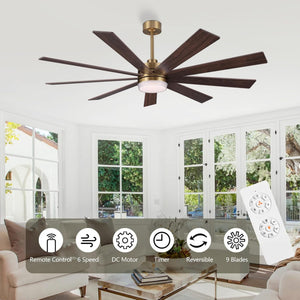 Solara | 64" Wood Ceiling Fan with Light