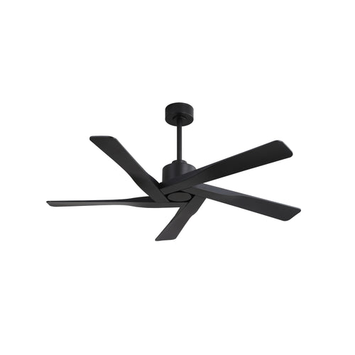 AeroGlow | 64" ABS Ceiling Fan