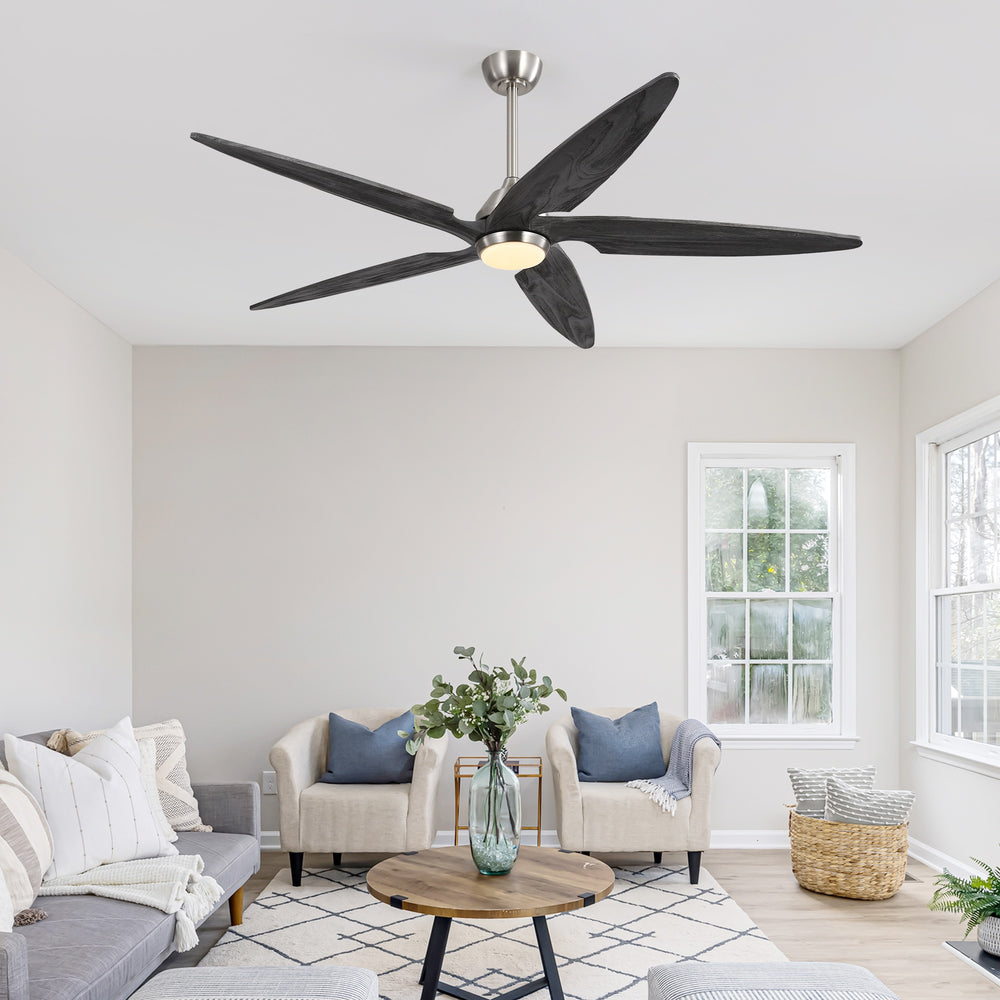 Carvo | 64’’ Wood Blades Ceiling Fan with Light