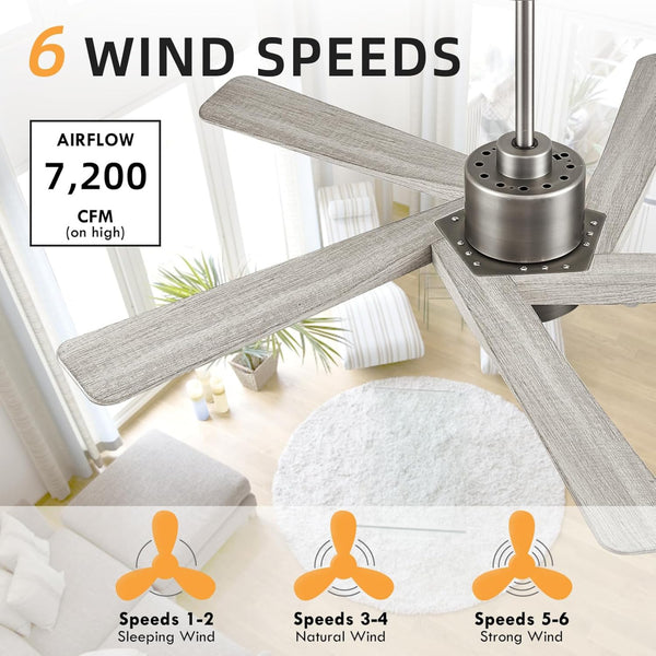 AeroGlow | 64" ABS Ceiling Fan with Light