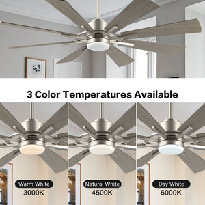 TimberGale | 60" Wood Blades Ceiling Fan with Light