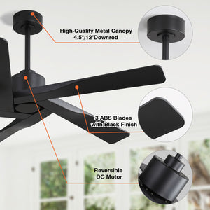 AeroGlow | 54" ABS Ceiling Fan