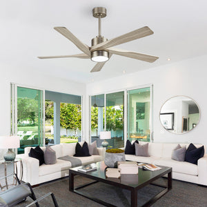 AeroGlow | 64" ABS Ceiling Fan with Light