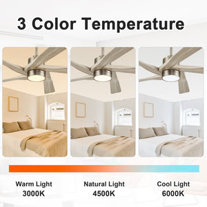 AeroGlow | 64" ABS Ceiling Fan with Light