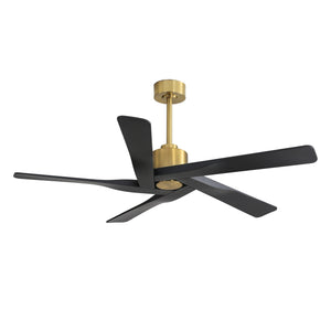 AeroGlow | 64" ABS Ceiling Fan