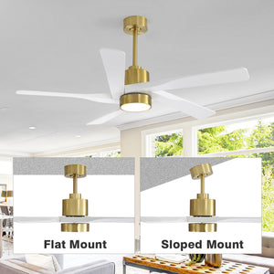 AeroGlow | 54" ABS Ceiling Fan with Light
