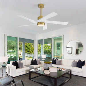 AeroGlow | 54" ABS Ceiling Fan with Light