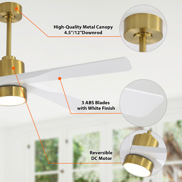 AeroGlow | 54" ABS Ceiling Fan with Light