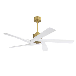 AeroGlow | 64" ABS Ceiling Fan