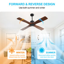 Load image into Gallery viewer, Wingbo Flying-MS DC Ceiling Fan without Lights, 4 Carved Solid Wood Blades,Black &amp; Walnut
