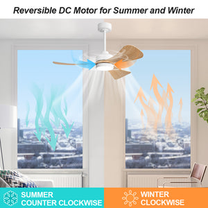 Seltorissa | 42" 3 Blades Ceiling Fan with Light