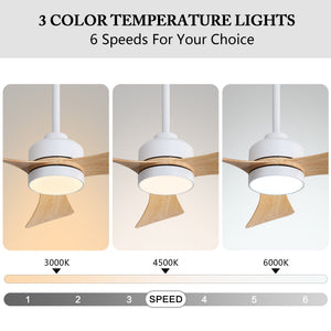 Seltorissa | 42" 3 Blades Ceiling Fan with Light