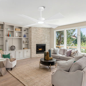 SkyBlade | 64" ABS Waterproof Ceiling Fan with Light