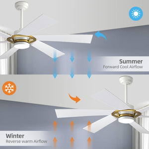 EdgeLine | 60" Smart ABS Ceiling Fan with Light