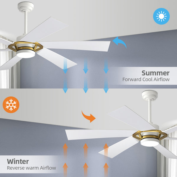 EdgeLine | 60" Smart ABS Ceiling Fan with Light