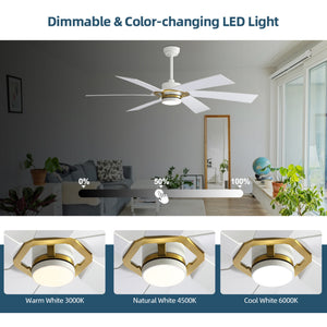 EdgeLine | 60" Smart ABS Ceiling Fan with Light