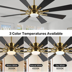 TimberGale | 80" Wood Blades Ceiling Fan with Light