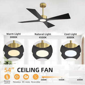SkyBlade | 54" ABS Waterproof Ceiling Fan with Light