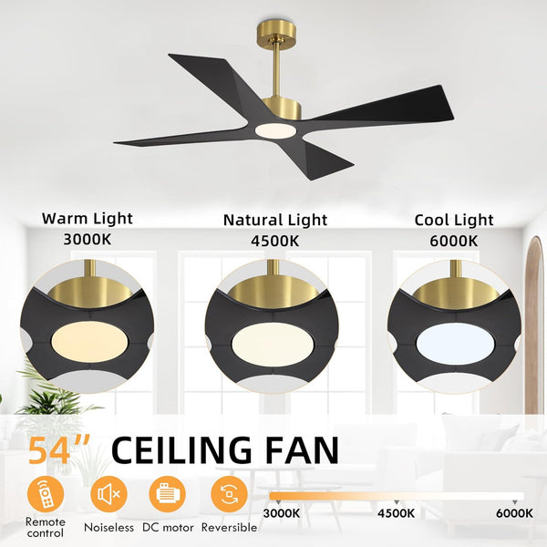 SkyBlade | 54" ABS Waterproof Ceiling Fan with Light