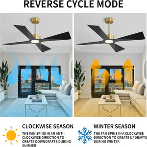 SkyBlade | 54" ABS Waterproof Ceiling Fan with Light