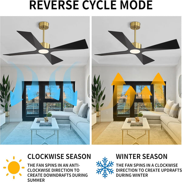SkyBlade | 54" ABS Waterproof Ceiling Fan with Light
