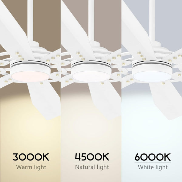 Tectra | 72’’ Aluminum Blades Ceiling Fan with Light