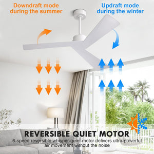 PureFlow |  52’’ ABS Blades Ceiling Fan