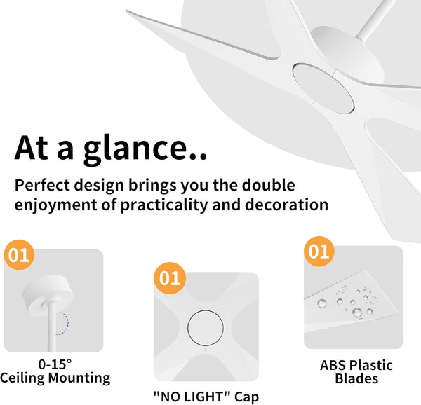 SkyBlade | 64" ABS Waterproof Ceiling Fan