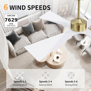 SkyBlade | 64" ABS Waterproof Ceiling Fan with Light