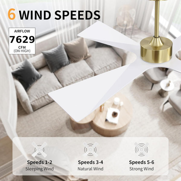 SkyBlade | 64" ABS Waterproof Ceiling Fan with Light