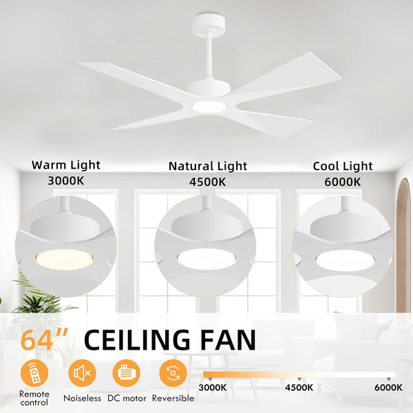 SkyBlade | 64" ABS Waterproof Ceiling Fan with Light