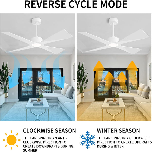 SkyBlade | 64" ABS Waterproof Ceiling Fan with Light
