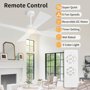 SkyBlade | 64" ABS Waterproof Ceiling Fan with Light