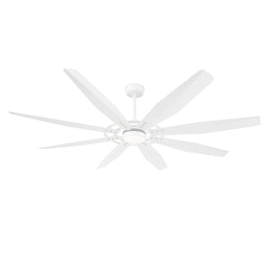 Tectra | 72’’ Aluminum Blades Ceiling Fan with Light